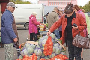 В лабиринтах продовольственной безопасности