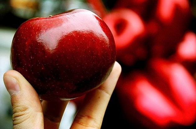 Серби перепродають Росії заборонені польські яблука – Gazeta Wyborcza