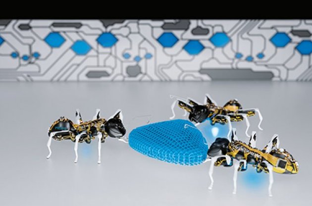 Інженери створили роботів з поведінкою комах