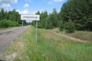 Суд вернул государству еще пять гектаров леса в Сухолучье из резиденций Януковича