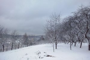 Прохладная погода сохранится в Украине в ближайшие дни