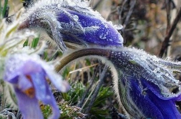 В Україну повертається холод