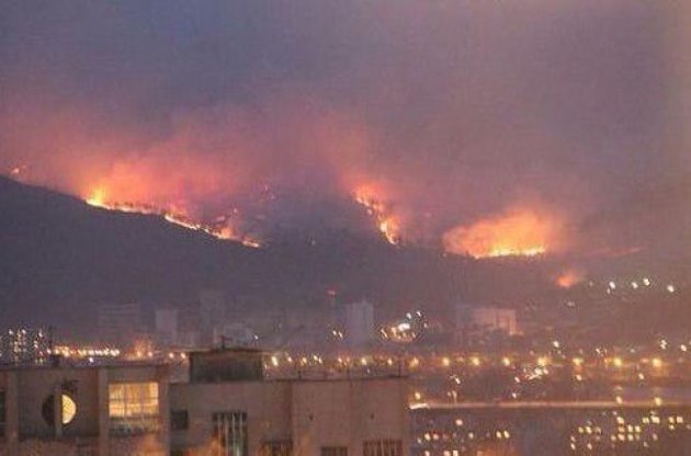 В России за сутки сгорела 31 тысяча гектаров леса