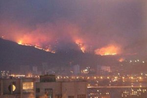 В России за сутки сгорела 31 тысяча гектаров леса