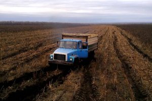 Реалії АПК: у глухому куті сировинного прокляття