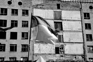 Черно-белое сине-желтое