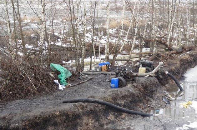 Житомирская область страдает от незаконной добычи янтаря