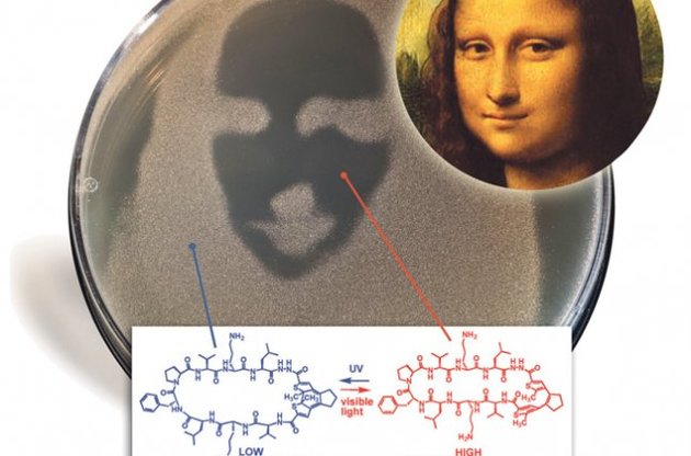 Портрет Моны Лизы в стиле бактериум арт