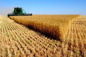 Скупка землі в Україні може призвести до агроколоніалізму африканського зразка