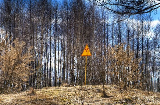 Радіаційний фон в Чорнобильській зоні в межах норми - ДСНС