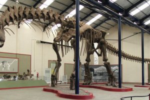 Ученые представили новую версию гибели динозавров