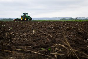 Агробізнес у перипетіях децентралізації