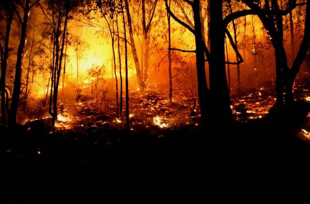 У Сибіру горять 48 тисяч гектарів лісу