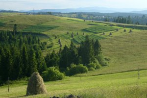 Карпаты остаются наиболее привлекательным туристическим местом для украинцев