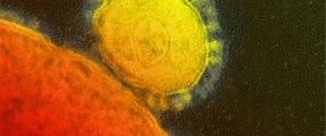 В Южной Корее от коронавируса MERS скончались девять человек