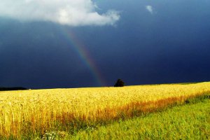 В Україні очікується тепла, але дощова погода