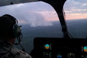Пожежа в районі Чорнобиля не загрожує лісу, розповсюдження вогню немає - ДСНС
