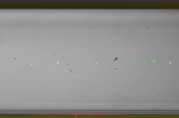 Левитирующие клетки рака