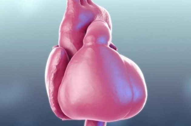 Вчені створили віртуальну модель серця людини