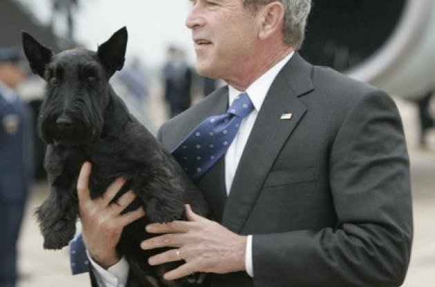 Буш объяснил дипломатию Путина на собаках – NYT