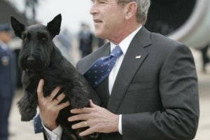 Буш объяснил дипломатию Путина на собаках – NYT