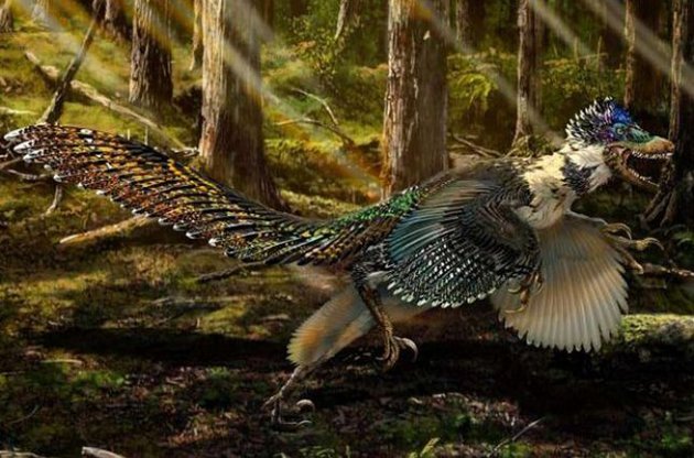 Zhenyuanlong suni жили в начале мелового периода, около 125 млн лет назад