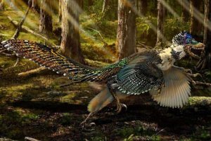 Палеонтологи нашли новый вид пернатого динозавра