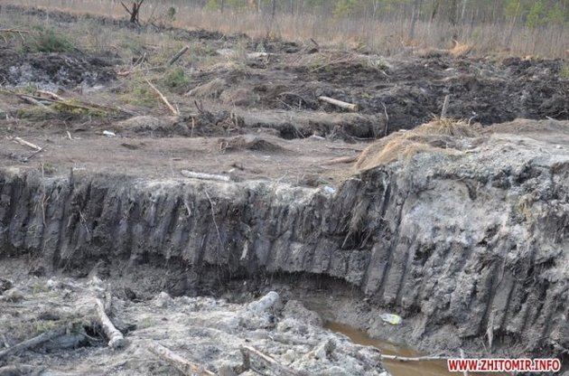 Порошенко настаивает на скорейшей легализации добычи янтаря в Украине