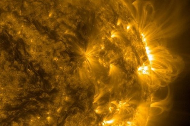 NASA поделилось эффектным фото "петель" на Солнце