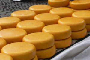 В Белгороде катком раздавят 10 тонн сыра, поступившего из Украины