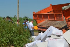 В России "похоронили" 10 тонн санкционного сыра