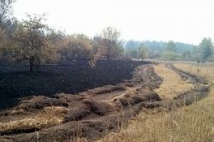 У Чорнобильській зоні ліквідували відкритий вогонь