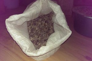 В Житомире у россиянина изъяли 400 кг янтаря