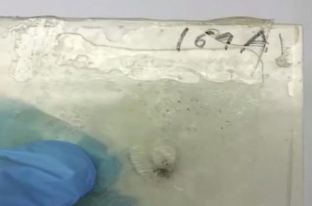 Между двумя слоями твердого полимера разместили жидкую прослойку с смолой особого состава на основе тиолов