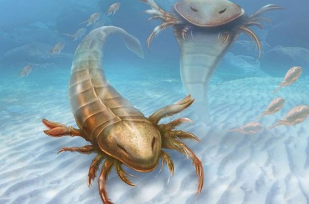 Палеонтологи виявили найдавніших морських скорпіонів