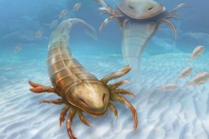 Палеонтологи виявили найдавніших морських скорпіонів
