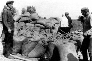 Украина в огне. Крестьянские протесты против коллективизации