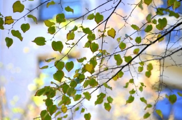 Осінь. Спека