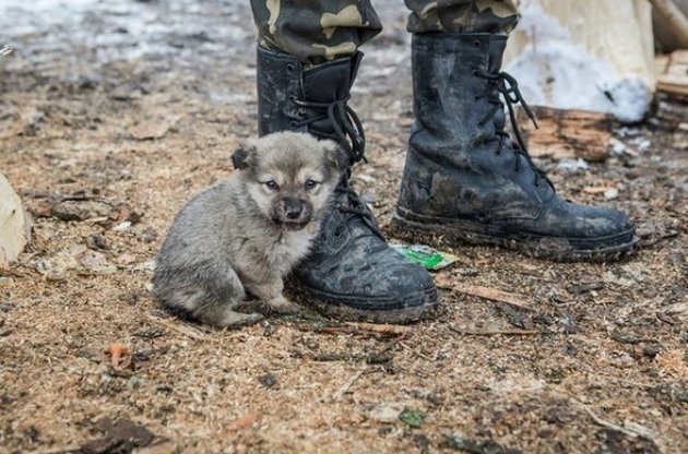 На выставке представлено больше сотни работ британских и украинских фотографов