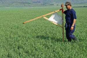 Тихий землетрус