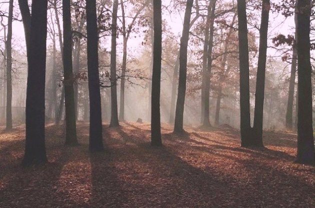 Дим від тління торфу знову йде у Київ