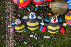 Мастер Йода и гигантские пчелки: самые необычные аэростаты фестиваля воздушных шаров в Альбукерке