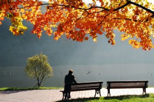 У прийми до Покрови