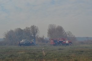 В Киевской области продолжают тлеть 119 га торфяников