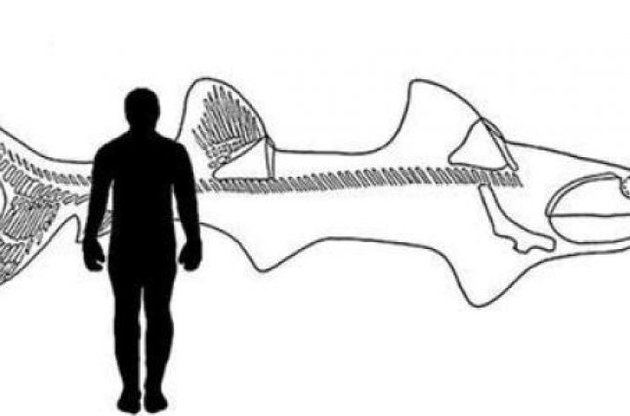 У Техасі знайшли рештки стародавньої «супер-акули»