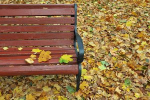 Осенние дворы