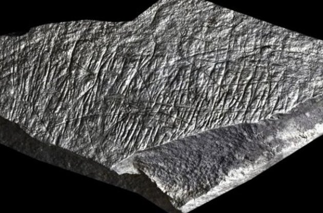 Археологи виявили древні артефакти мисливців-збирачів