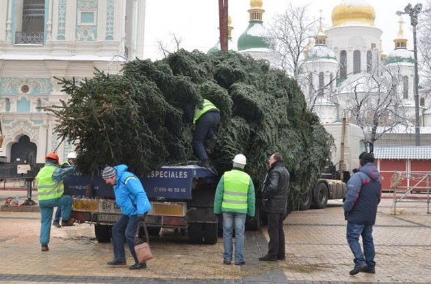 Новогоднюю елку в Киеве снова установят на Софийской площади