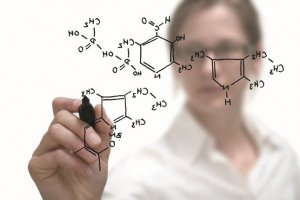 Орган в кустах