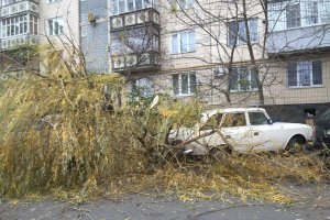 Ураган в Одессе ломал деревья и срывал трубы с домов